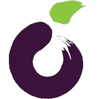 Plum POS